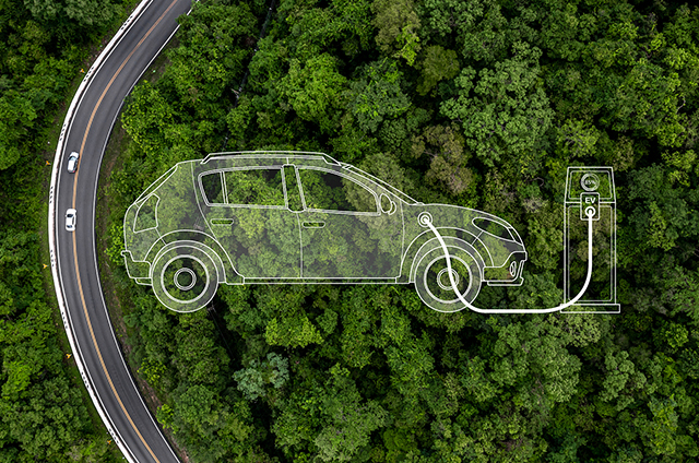 New Energy Vehicle Industry